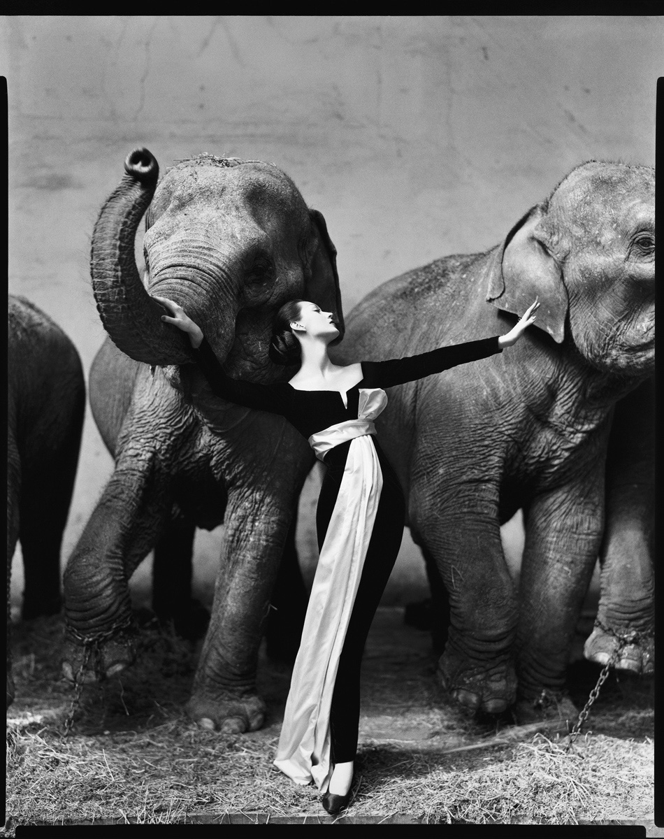 “DOVIMA WITH ELEPHANTS, EVENING DRESS BY DIOR, CIRQUE D'HIVER, PARIS, AUGUST 1955”