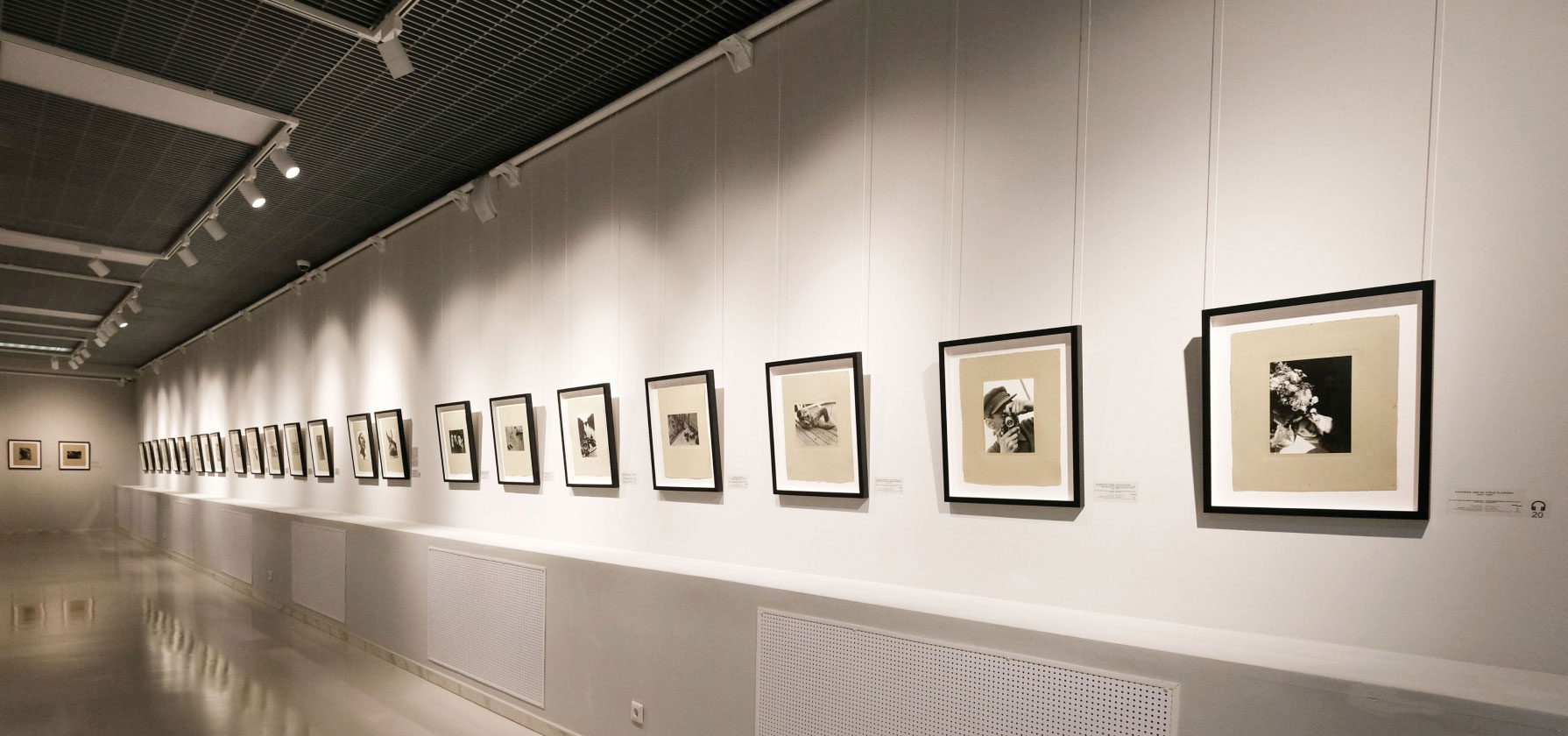 Alexander Rodchenko. From the Still Art Foundation collection at the Gallery of Modern Art of the State Museum of Fine Arts 